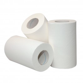 Cleen EcoPaper Comfort Poetsrollen Mini (baal 12 x 120 mtr)