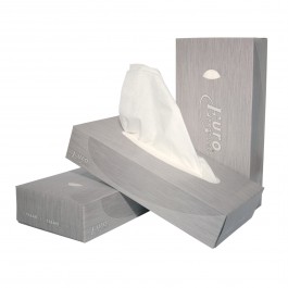 Facial Tissues Euro ECO 21 x 21 cm, 2-laags (doos 40 x 100 stuks)